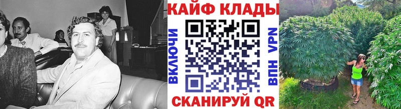 Где купить Лабытнанги Псилоцибиновые грибы  Cocaine  ГАШ  МАРИХУАНА 