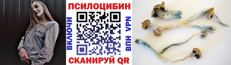 Галлюциногенные грибы MAGIC MUSHROOMS  Лабытнанги 